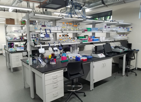 Global Health Biomarker Lab 2018 Pacific Hall